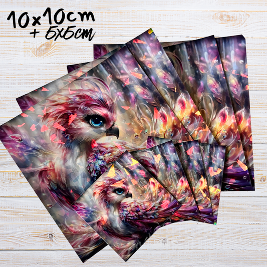 Cover Paper "Phalea"